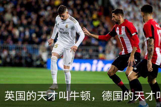 英国的天才叫牛顿，德国的天才叫爱因斯坦，那中国的天才叫什么？